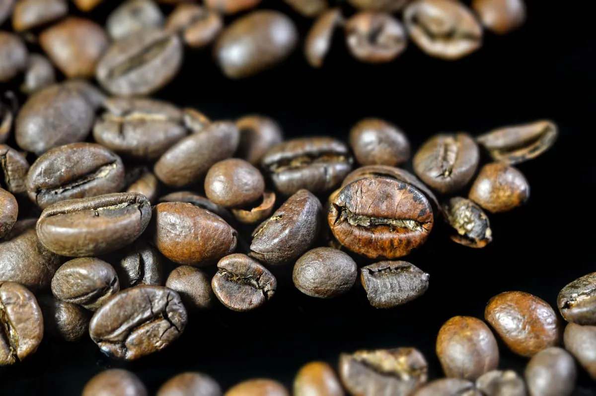 Close-up de grãos de café torrados