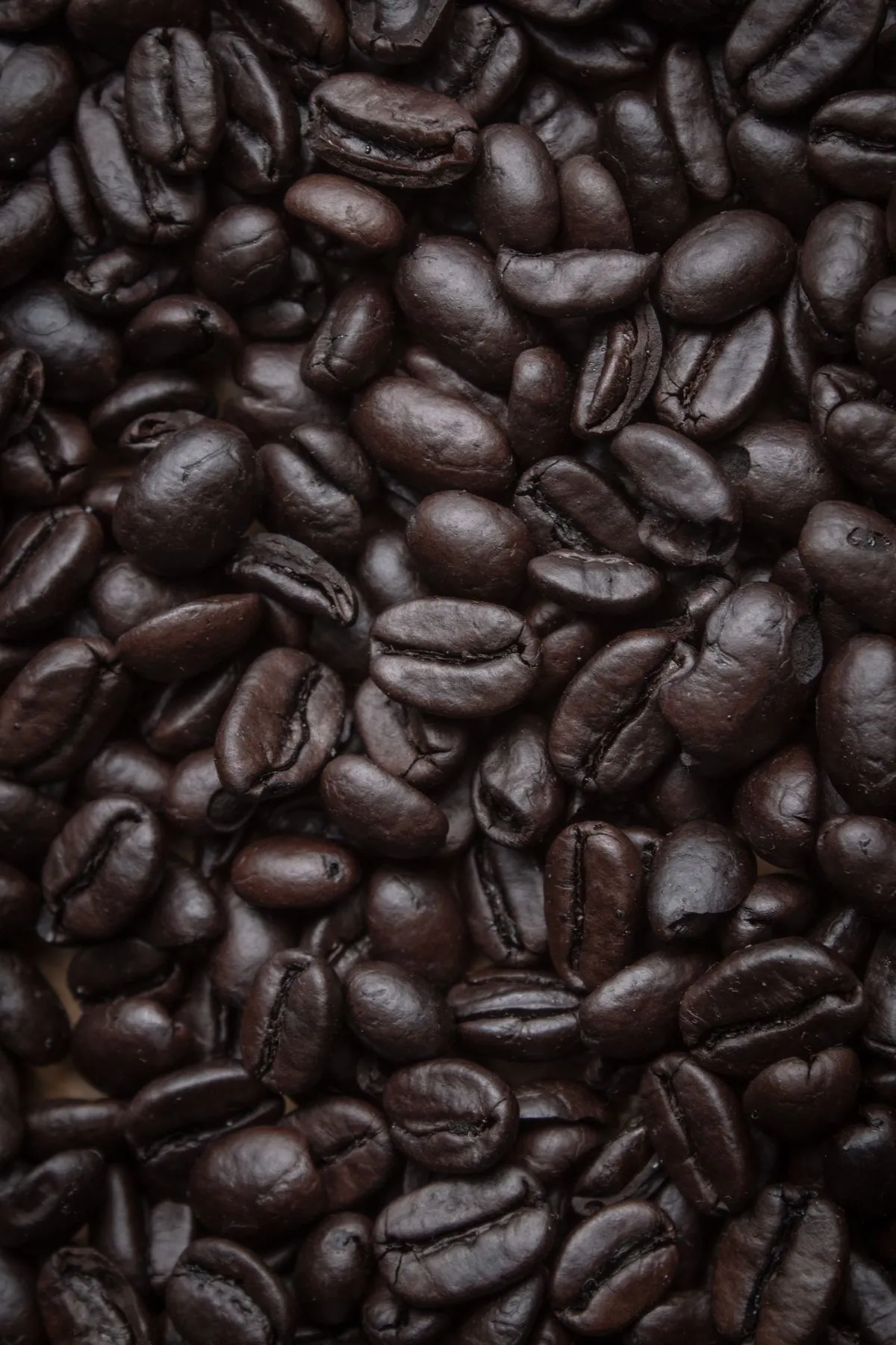 Grãos de café de torra escura