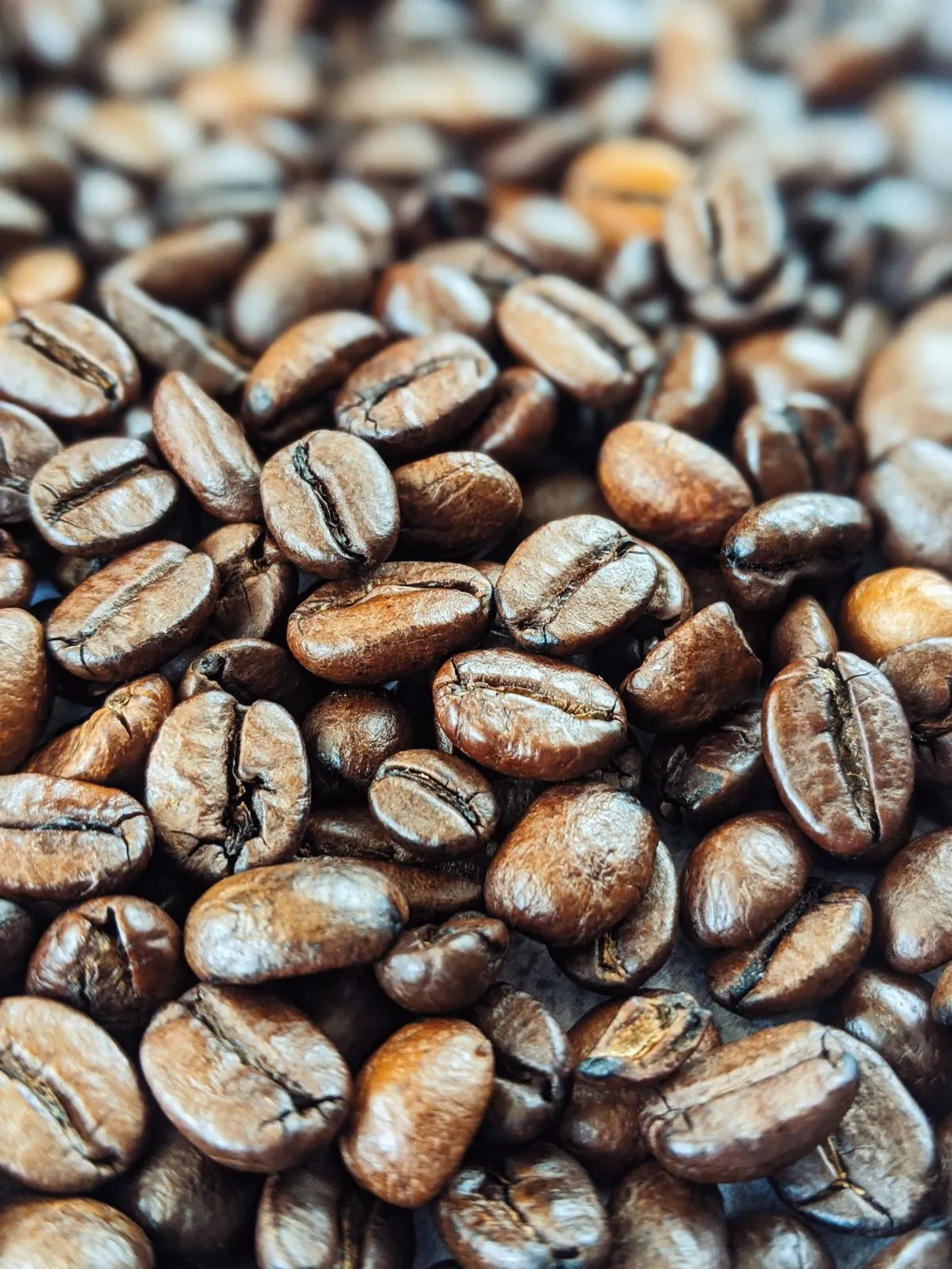 Grãos de café torrados