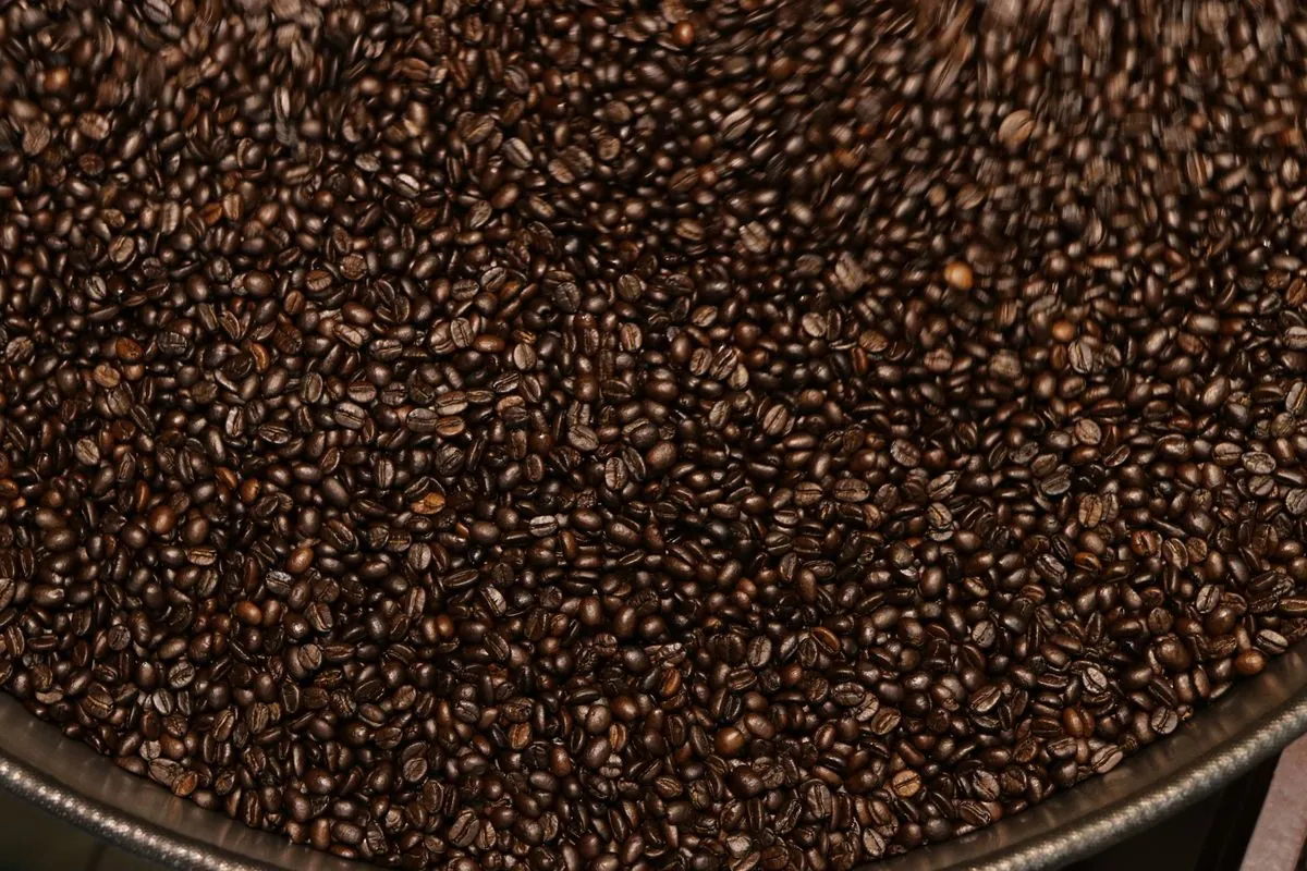 Grãos de café de torra escura